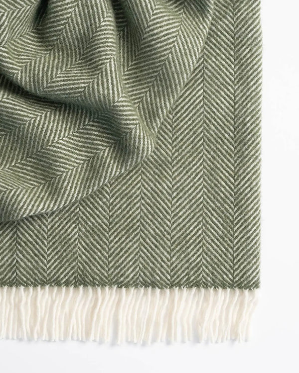 Magnus Olive