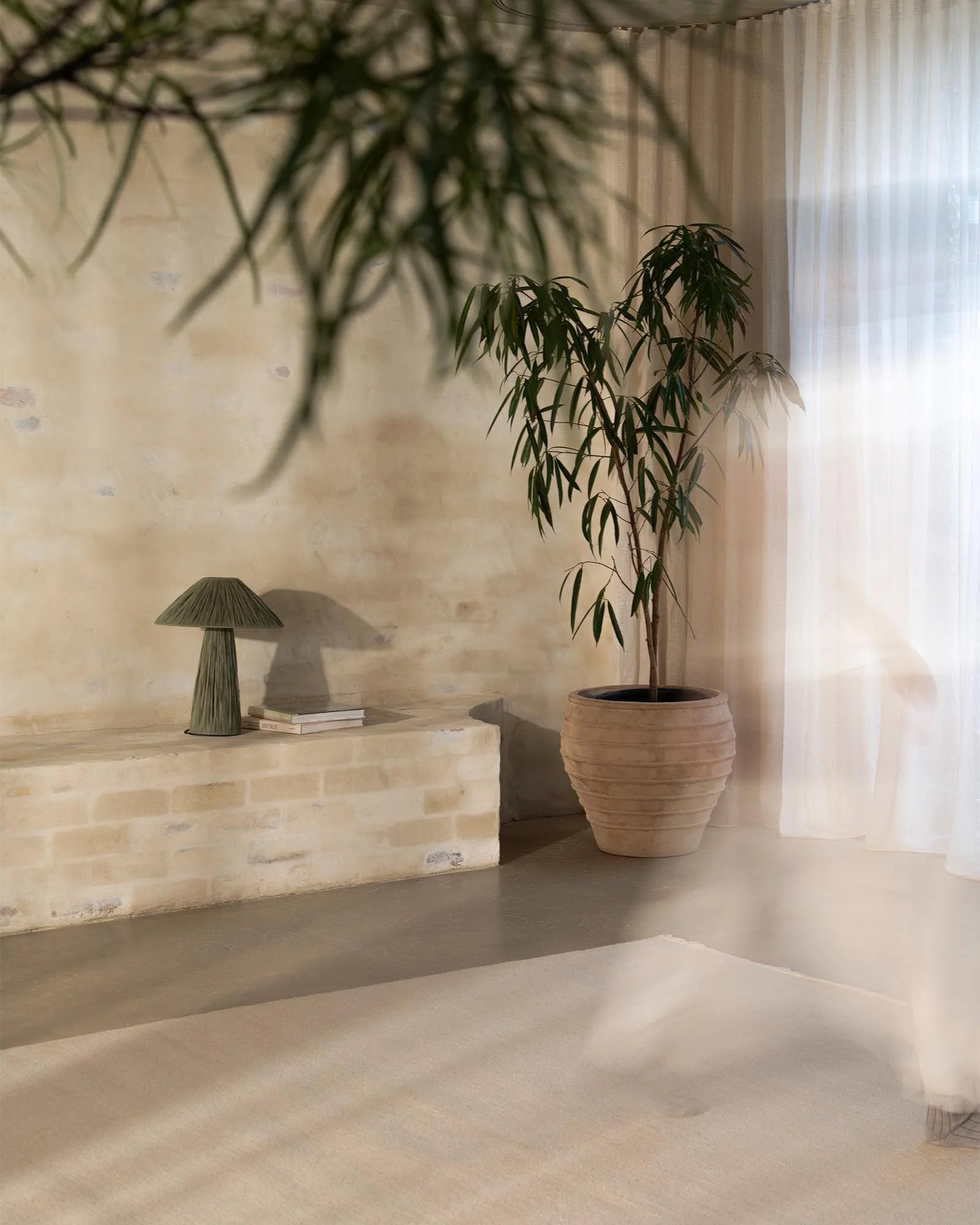 Neutral minimalist bedroom with cream wool rug, stone bench, woven planter and trailing bamboo plant casting soft shadows through sheer curtains